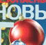 МЧС Коми: Как безопасно встретить Новый год! - Vorkuta-Online.Ru