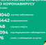 Официальная информация Управления Роспотребнадзора по Республике Коми по ситуации с коронавирусом - TvoyaVorkuta.Ru