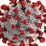 SARS-CoV-2_(CDC-23312).png - Администрация г.Воркута