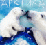 арктика картинка.jpg - Администрация г.Воркута