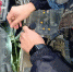 Госавтоинспекция Воркуты разъясняет порядок регистрации автомототранспорта - Vorkuta-Online.Ru