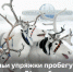 Оленьи упряжки пробегут по Воркуте 24 ноября - Газета Моя Воркута