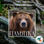 Памятка действий в случае обнаружения на территории населенного пункта и (или) нападения диких животных.