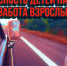 Госавтоинспекция г. Воркуты информирует о дорожно-транспортных происшествиях с участием несовершеннолетних. - Муниципальный округ Воркута
