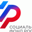Отделение СФР по Республике Коми выплачивает увеличенную фиксированную выплату к страховой пенсии 16 тысячам родителей. - Муниципальный округ Воркута