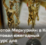 «Золотой Меркурий» ждёт предприимчивых и смелых - Газета Моя Воркута